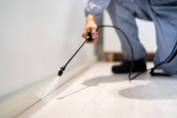 Best Wildlife Control Services  in Columbus, MN
